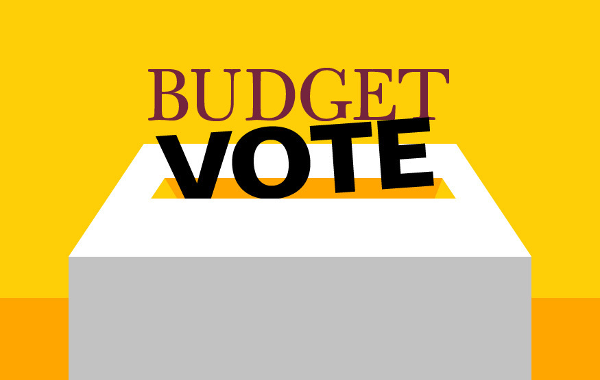 Budget Vote Icon