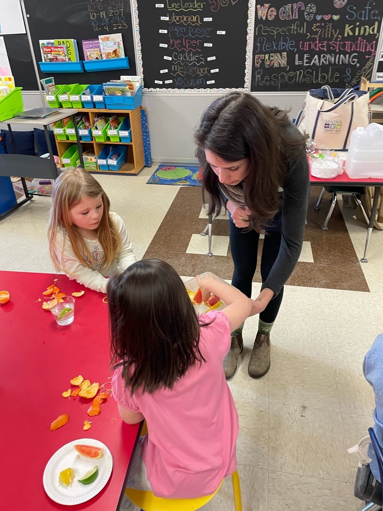 Larissa from Healthy Lincoln County joined Mrs. Verney’s class to teach about healthy snack choices.