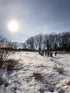 Mrs Hilton's K class sledding learning about forces & motion