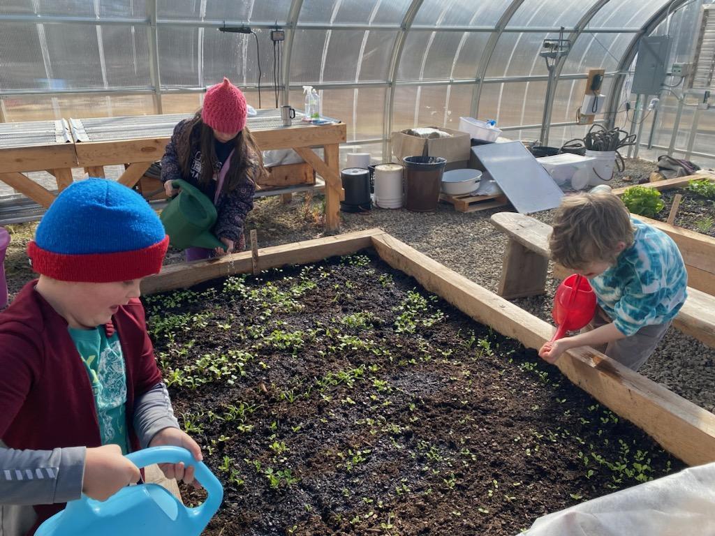 students watering plants in the greenhouse