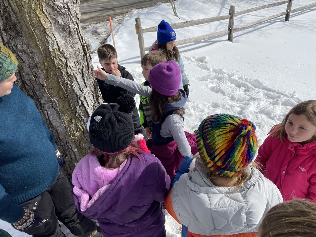 Mr Sal's class at Coastal Rivers