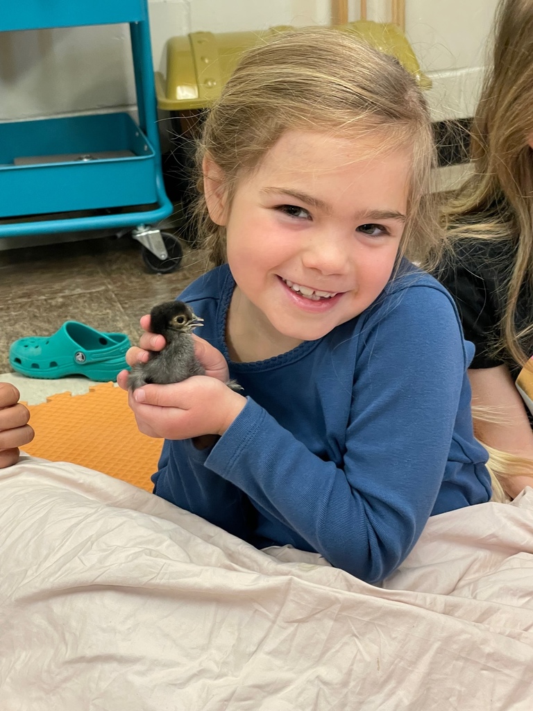 Mrs. Verney’s class had a special visit from M’s. Hedda and her baby chicks!