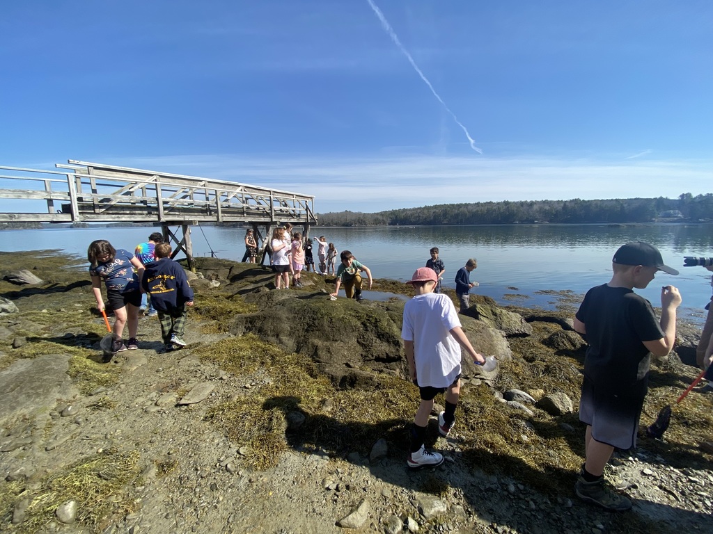 Third graders took a trip to Plummer Point in South Bristol