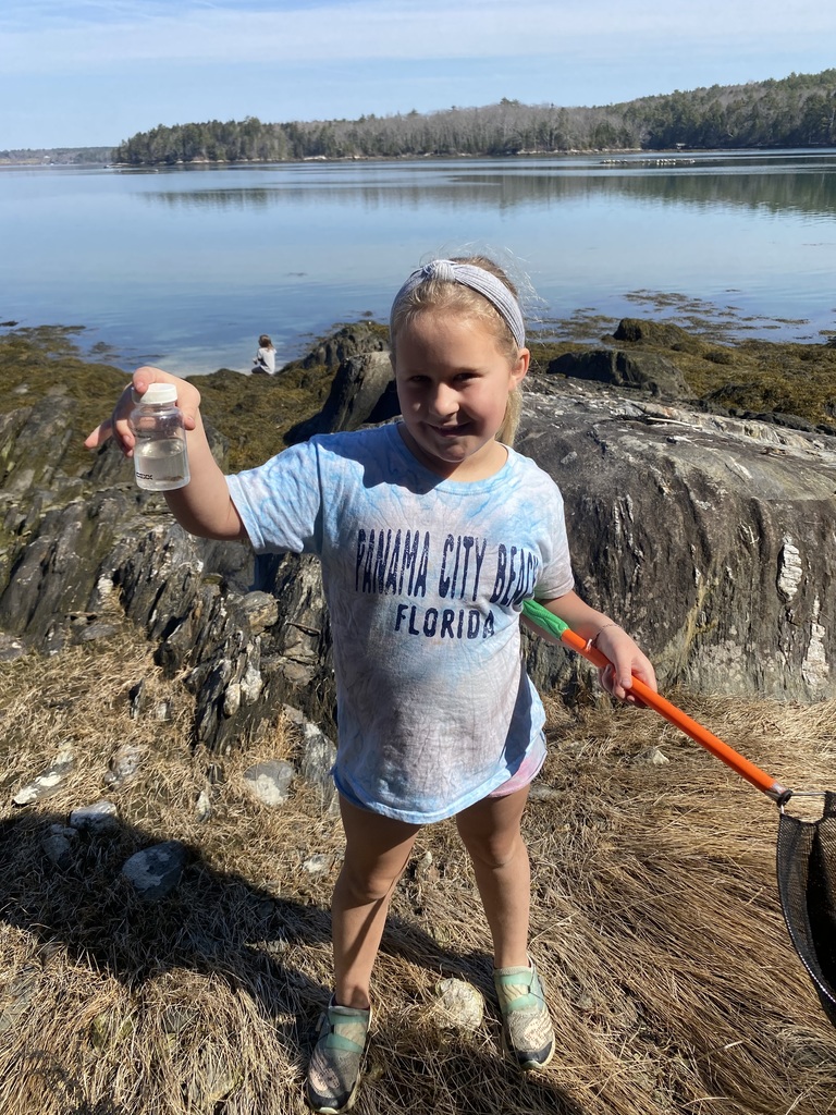 Third graders took a trip to Plummer Point in South Bristol