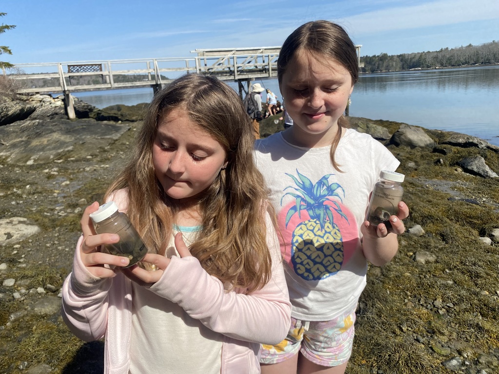 Third graders took a trip to Plummer Point in South Bristol
