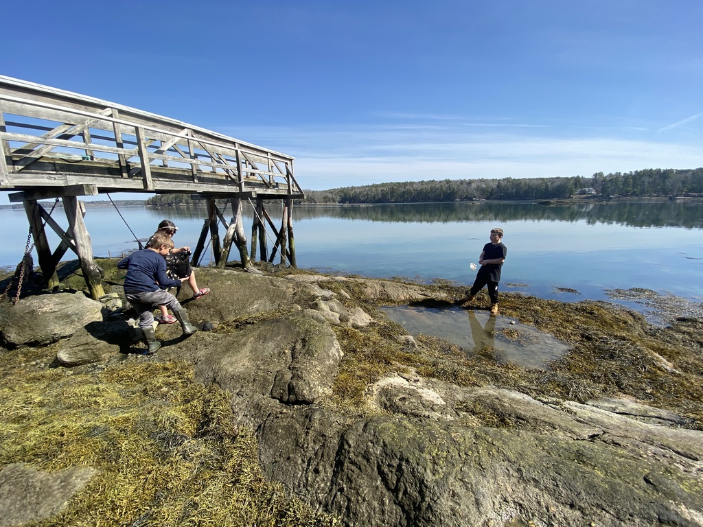 Third graders took a trip to Plummer Point in South Bristol