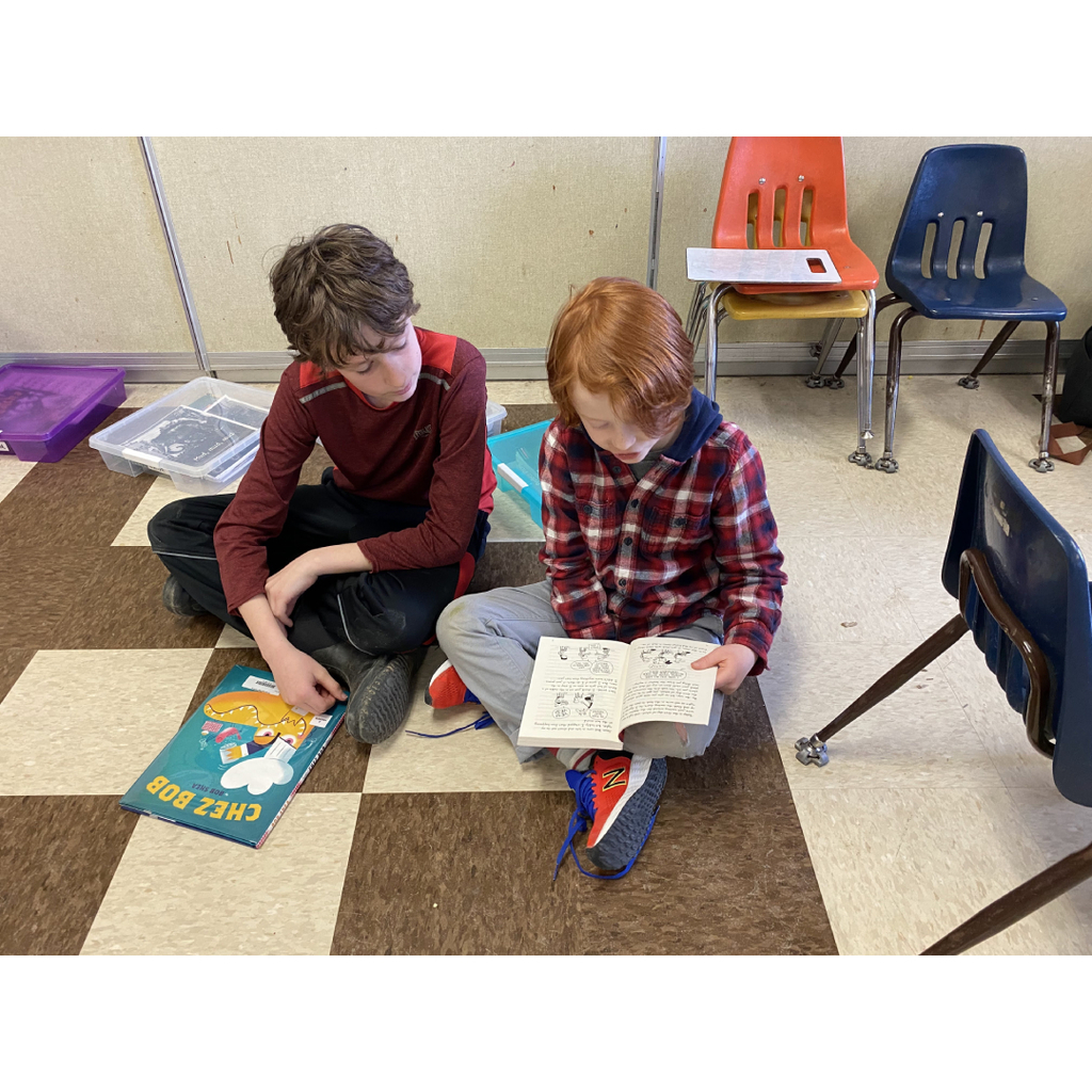 5/6 multiage with 3rd grade reading buddies