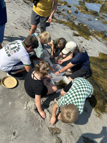 Students explore the seashore and ecosystem at Pemaquid Beach on a field trip with Coastal Rivers Conservation Trust. (Photo courtesy Tara McKechnie)